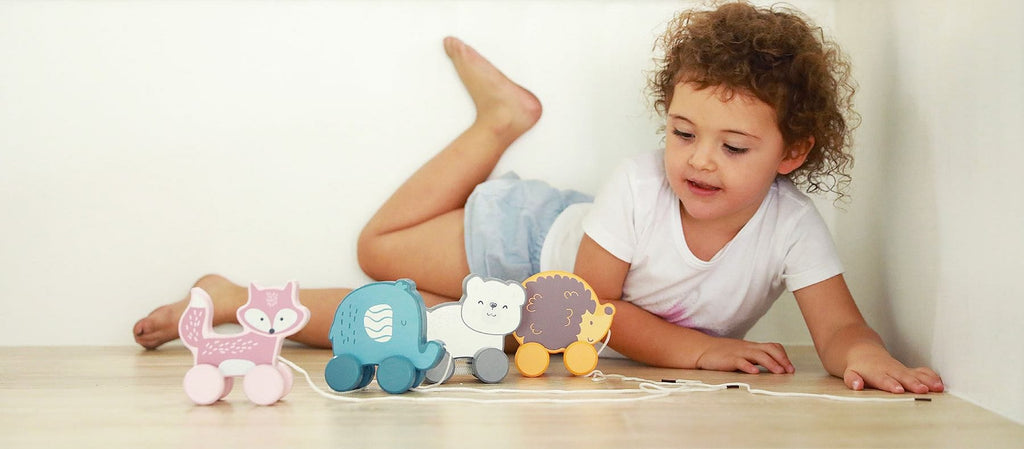 VIGA puidust järelveetav mänguasi „Siil“ - Fairy Kitten Mänguasjapood